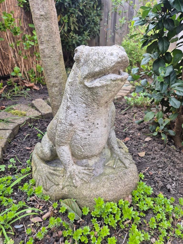Grote betonnen kikker voor in de tuin, Ophalen
