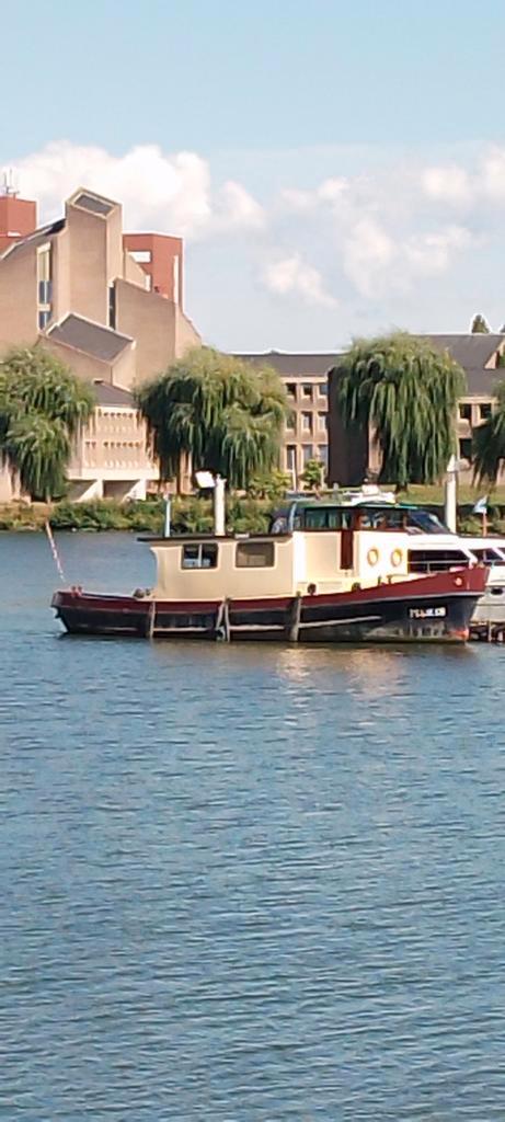 Sleepboot, Watersport en Boten, Motorboten en Motorjachten, Gebruikt, Staal, 12 meter of meer, Diesel, Binnenboordmotor, 50 pk of meer