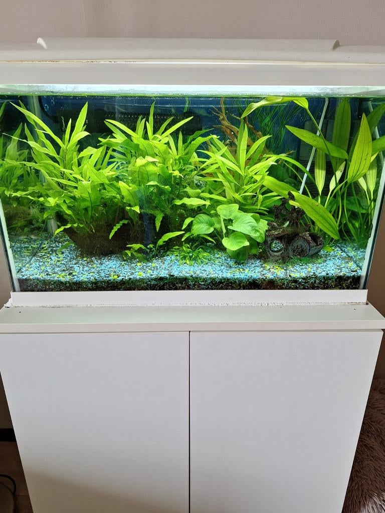 Te Koop compleet zoetwater Aquarium met kast, Dieren en Toebehoren, Vissen | Aquaria en Toebehoren, Ophalen, HS Aqua, Inclusief vissen