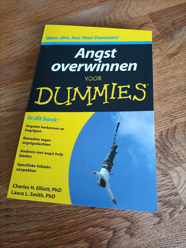 Angst overwinnen voor Dummies, Boeken, Ophalen of Verzenden, Nieuw