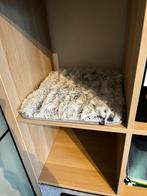 Leuk katten mandje / kussen, Dieren en Toebehoren, Ophalen of Verzenden, Nieuw, Pluche