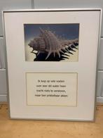 Ingelijste foto's met gedichten - Schelpen, Huis en Inrichting, Ophalen, Gebruikt, Foto of Poster, Minder dan 50 cm