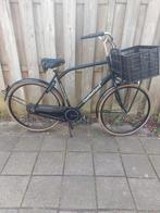 Cumberland herenstadsfiets, Terugtraprem, Gebruikt, 57 tot 61 cm, Ophalen