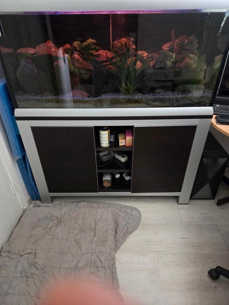 Ferplas star 120, Ophalen, Plant(en), Steen of Hout, Overige merken, Zo goed als nieuw