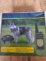 Honden trainingshalsband, Ophalen, Zo goed als nieuw