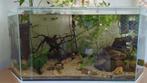 Aquarium +/- 200L, Dieren en Toebehoren, Ophalen, Zo goed als nieuw, Leeg aquarium