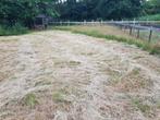 Super hooi gratis af te halen!, Dieren en Toebehoren, Stalling en Weidegang, Weidegang, 1 paard of pony