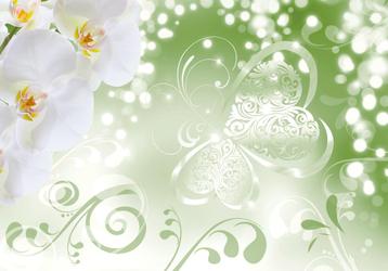 152 Modern Orchidee Vlies Fotobehang 350x250cm in 3 maten beschikbaar voor biedingen