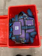 antec valbeveiliging harnas, Doe-het-zelf en Verbouw, Veiligheidskleding, Ophalen of Verzenden, Nieuw