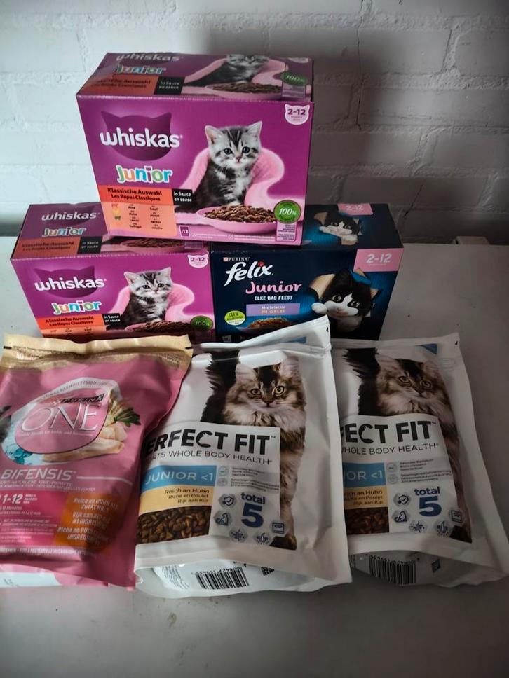 Kattenvoer voor kittens, Dieren en Toebehoren, Dierenvoeding, Kat, Ophalen