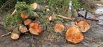 Brandhout te laden met kraan zelf aanhanger meenemen, Tuin en Terras, Haardhout, Minder dan 3 m³, Ophalen, Overige houtsoorten