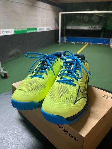 Sportschoenen (padel/tennis) te koop! beschikbaar voor biedingen