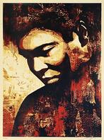 Shepard Fairey - Muhammad Ali, Antiek en Kunst, Kunst | Litho's en Zeefdrukken, Ophalen of Verzenden