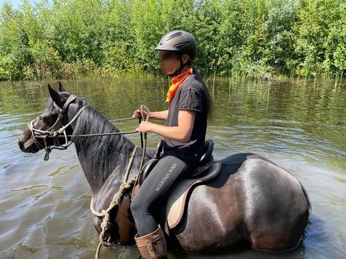 Bijrijder / bijrijdster gezocht, Dieren en Toebehoren, Paarden en Pony's | Overige Paardenspullen, Ophalen of Verzenden