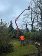 HOVENIER BOMENZAGEN TUINUITRUIMEN RIJPLATEN  DIENSTVERLENING, Tuinonderhoud of Snoeiwerk