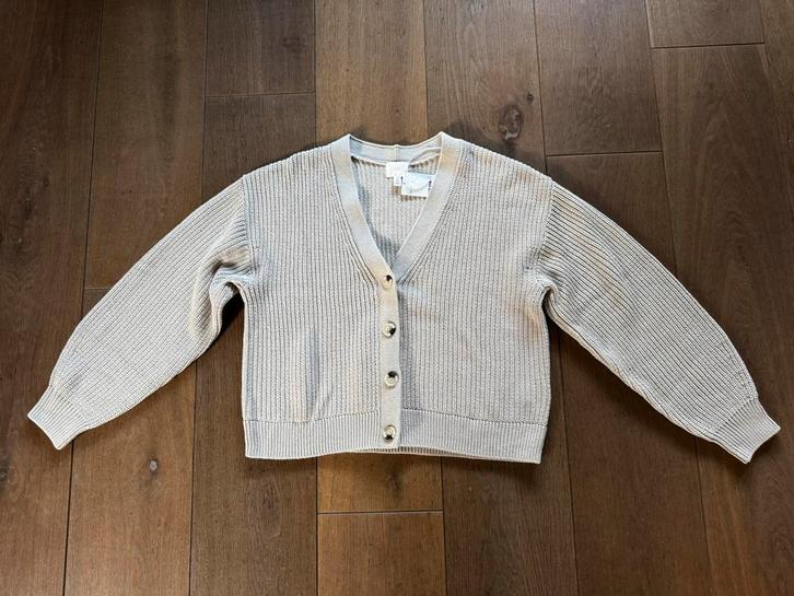 Nieuw vest van H&M in beige maat L, Kleding | Dames, Truien en Vesten, Nieuw, Maat 42/44 (L), Beige, Ophalen of Verzenden
