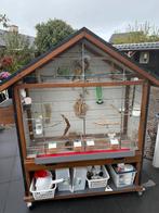 Vogelkooi met zeven parkieten van een jaar oud, Dieren en Toebehoren, Vogels | Hokken en Kooien, Ophalen of Verzenden, Zo goed als nieuw
