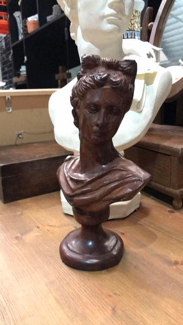 Prachtig antiek borstbeeld van een vrouw . Circa 1900 beschikbaar voor biedingen