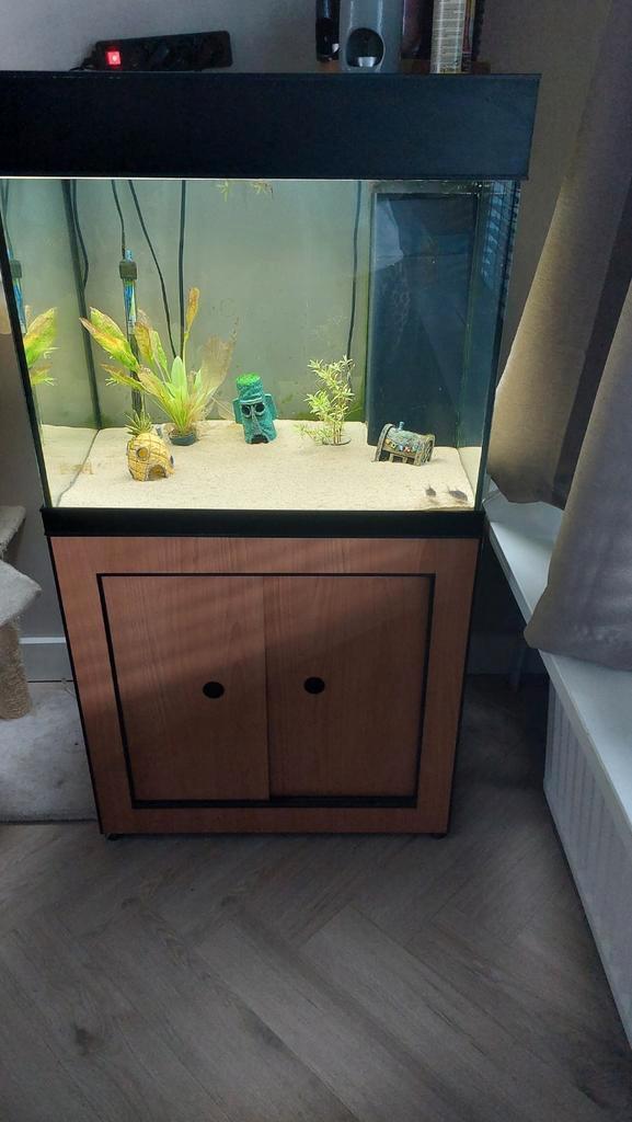 Aquarium/ bioloog, Dieren en Toebehoren, Vissen | Aquaria en Toebehoren, Gebruikt, Leeg aquarium, Ophalen of Verzenden