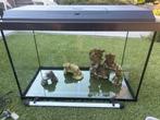Juwel primo 60 + losse kast, Juwel smartfeed en JBL led., Dieren en Toebehoren, Vissen | Aquaria en Toebehoren, Ophalen, Zo goed als nieuw