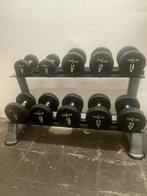 Dumbell rek 10 kg tot 22 kg + Technogym Fitness bank, Sport en Fitness, Fitnessmaterialen, Ophalen, Gebruikt, Dumbbell