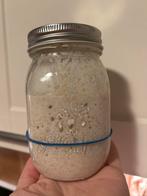 Zuurdesem starter, Diversen, Levensmiddelen, Ophalen of Verzenden
