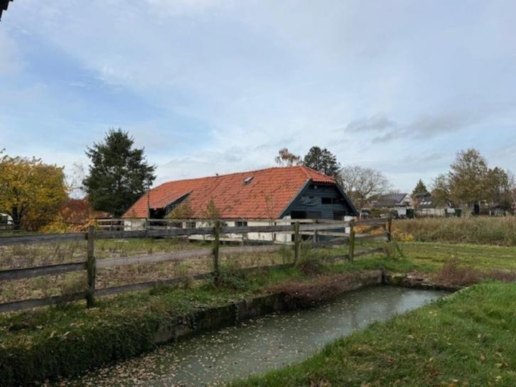 Weidegrond en stalling (geen pension!) TE HUUR, Dieren en Toebehoren, Stalling en Weidegang, Opfok, Stalling, Weidegang, 4 paarden of pony's of meer