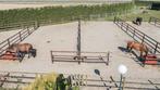Stalling voor uw paard/pony aangeboden in Steenbergen (nb), Dieren en Toebehoren, Stalling en Weidegang, Weidegang