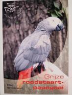E. . Uittenbogaard - Grijze roodstaartpapegaai, Ophalen of Verzenden, Zo goed als nieuw, E. . Uittenbogaard