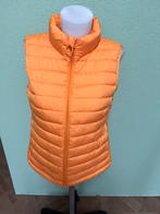 Zacht oranje bodywarmer N3 Marccain Sports nieuw, Kleding | Dames, Bodywarmers, Verzenden, Nieuw, Maat 38/40 (M), Oranje