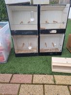 Kleine tt kooien, Dieren en Toebehoren, Ophalen, Gebruikt, Hout, Vogelkooi