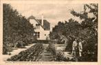 Directeurswoning . Wilhelminahoeve, Verzamelen, Ansichtkaarten | Nederland, Verzenden, Voor 1920, Ongelopen, Groningen