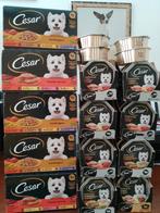 CESAR, Dieren en Toebehoren, Ophalen, Hond