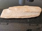 versteend hout 13x5x3, Ophalen of Verzenden