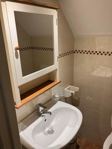 Spiegelkast met Wastafel & Grohe Kraan