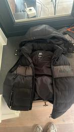 malelions bodywarmer, Zwart, Malelions, Ophalen of Verzenden, Zo goed als nieuw