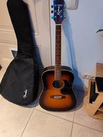 Richwood Artist Series Gitaar, Ophalen of Verzenden, Gebruikt, Western- of Steelstringgitaar, Met koffer