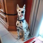 deense dog, Verzamelen, Ophalen, Zo goed als nieuw, Dier