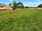 2 Plekken vrij voor paarden halfp  toezicht achter woonhuis, Weidegang, 2 of 3 paarden of pony's