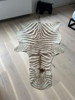 Burchell zebrahuid zebravel zebravacht zebrakleed zebra huid, 200 cm of meer, 150 tot 200 cm, Gebruikt, Ophalen of Verzenden