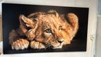Groot schilderij met welpje, Ophalen of Verzenden, Zo goed als nieuw, Schilderij, 75 tot 100 cm