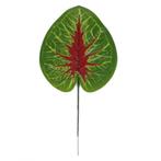 BLAD - KUNST - GROEN ROOD - KOOPJE