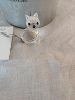 Swarovski Poesje mini /  inclusief doos en certificaat, Ophalen, Zo goed als nieuw, Figuurtje