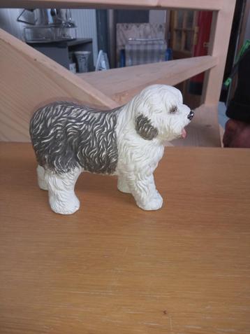beeld hond beschikbaar voor biedingen