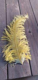 Struisvogelveren, Carnaval, ., Nieuw, Onbekend
