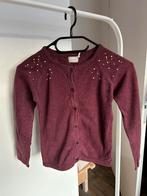 Name it vestje, Kinderen en Baby's, Kinderkleding | Maat 122, Gebruikt, Meisje, Trui of Vest, Ophalen of Verzenden