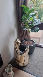 Qeeboo Paraplubak Haai Design - Goudkleurig, Kunststof, Overige kleuren, 50 tot 75 cm, Ophalen of Verzenden