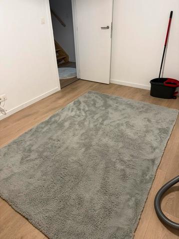 Grijs Hoogpollig zachte Vloerkleed 160x230 beschikbaar voor biedingen