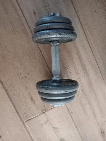 Halter / Dumbbell - 14,5kg - Nike beschikbaar voor biedingen