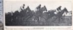 Den haag 1923, courses op duindigt op hemelvaartsdag, Verzamelen, Ophalen of Verzenden, Voor 1940, Gebruikt, Dier